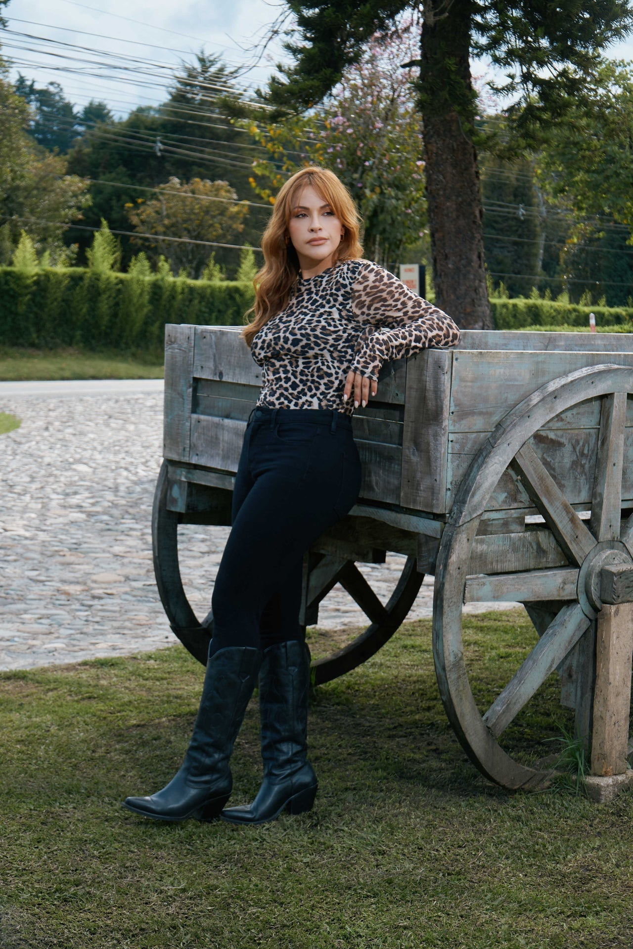 Camibuzo mesh Animal Print con mangas en transparencia Alía